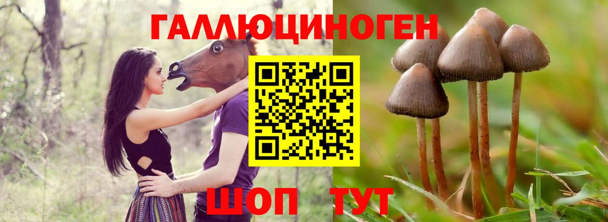 Галлюциногенные грибы MAGIC MUSHROOMS Зеленодольск