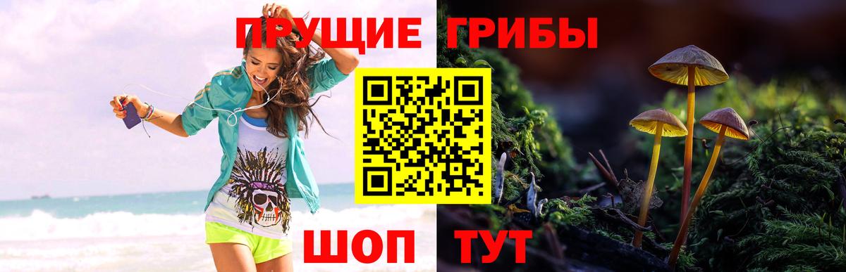 Галлюциногенные грибы MAGIC MUSHROOMS  Псилоцибиновые грибы ЛСД  Зеленодольск  Вход с VPN 